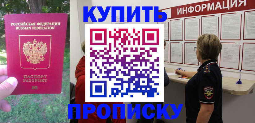 прописка паспорт в Дмитрове